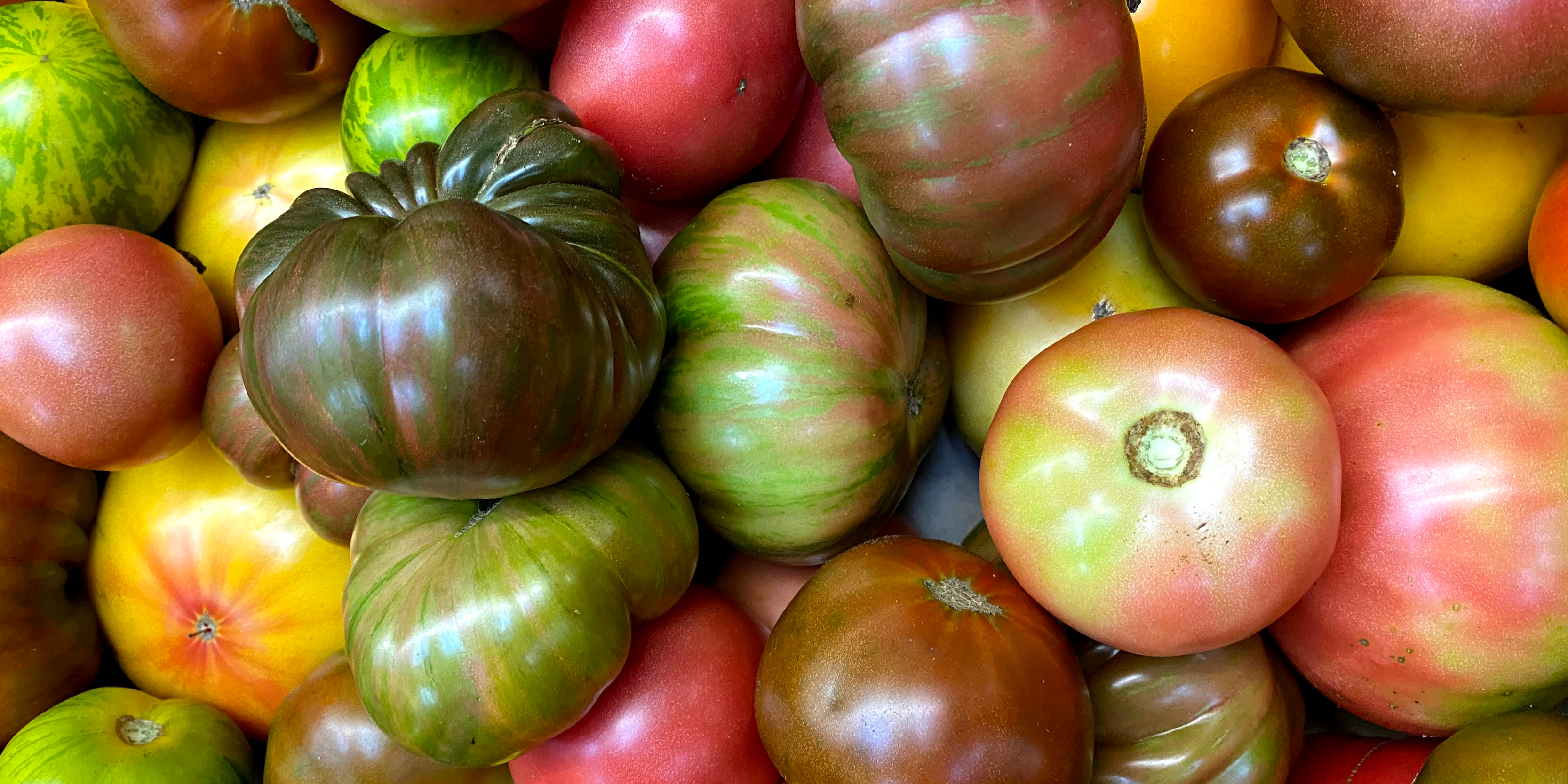website-food5